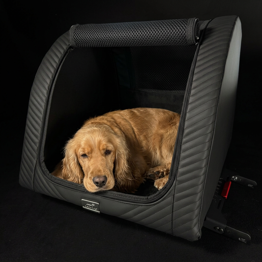Cocker Spaniel liegt ruhig in einer DOXAFER NOBLE Hundebox in Deep Black auf der Rückbank