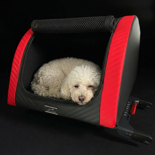 Weißer Pudel in einer DOXAFER NOBLE Hundebox in Red Devil — Auto-Sicherheit für Hunde