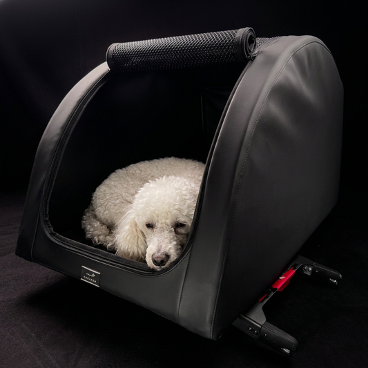 Weißer Pudel liegt entspannt in der DOXAFER VOGUE Hundebox in Deep Black — bereit für den Urlaub mit Hund