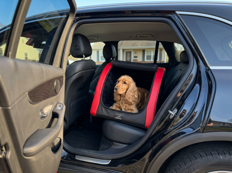 Cocker Spaniel liegt im DOXAFER VOGUE auf der Rückbank, Fahrzeugtür geöffnet, Wohnhaus im Hintergrund