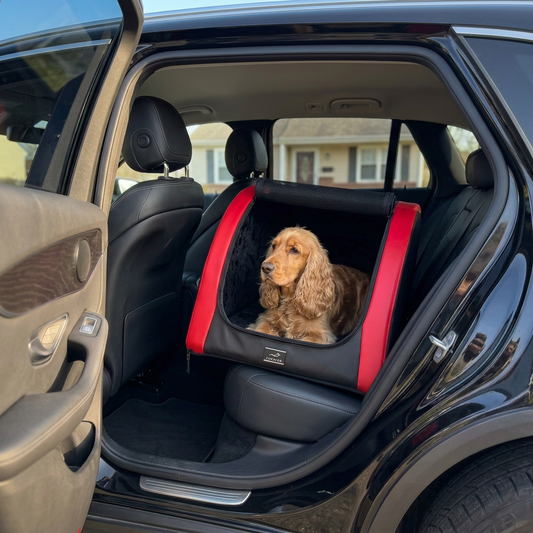 Cocker Spaniel liegt entspannt im DOXAFER VOGUE — Hundebox Rückbank Schräglage in der Seitenansicht