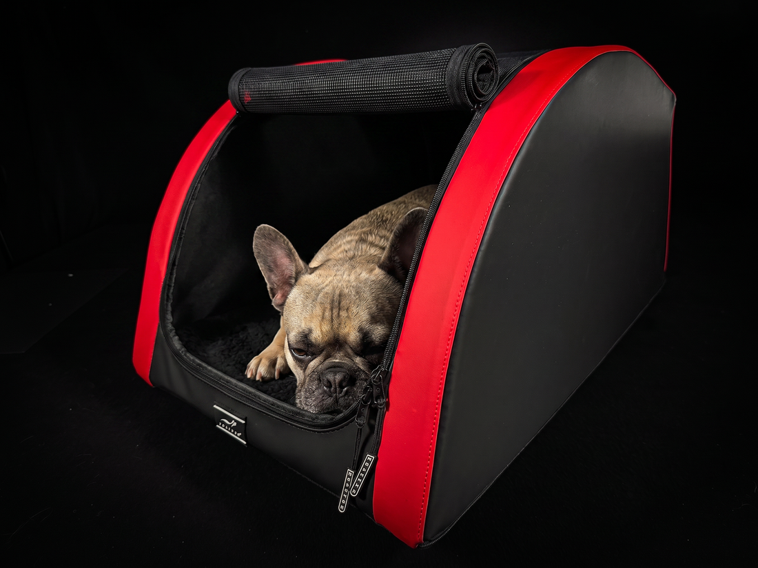 French Bulldog in the DOXAFER VOGUE in Red Devil – car seat for dogs