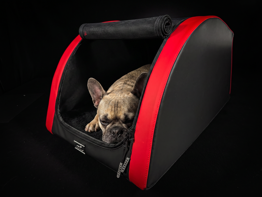 Französische Bulldogge im DOXAFER VOGUE in Red Devil – Autositz für Hunde