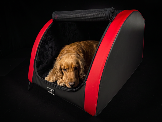 Cocker Spaniel in der Hundebox fürs Auto: DOXAFER VOGUE in Größe M in Red Devil