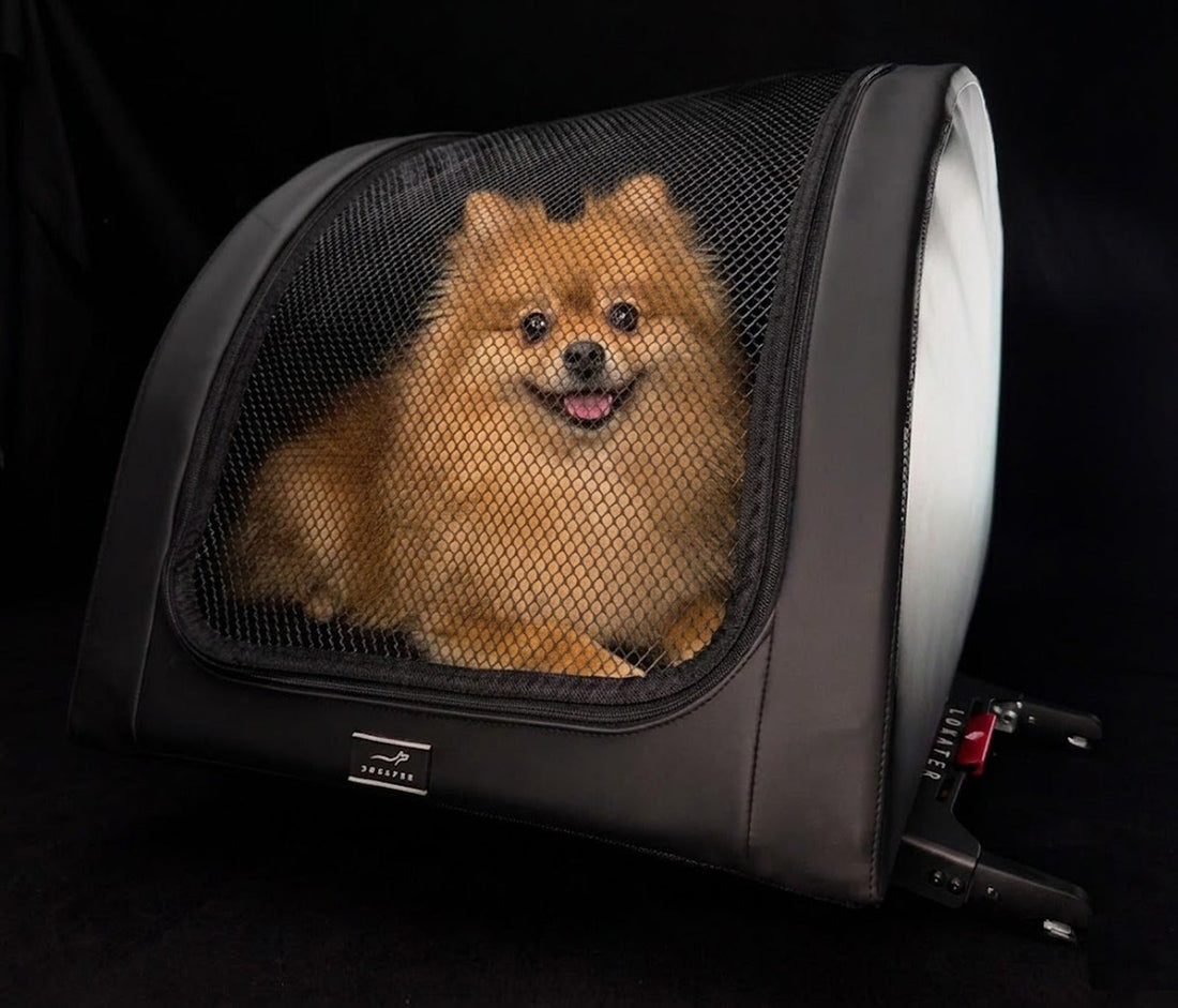 DOXAFER VOGUE installed as an ISOFIX dog seat on the rear seat, dog lying inside