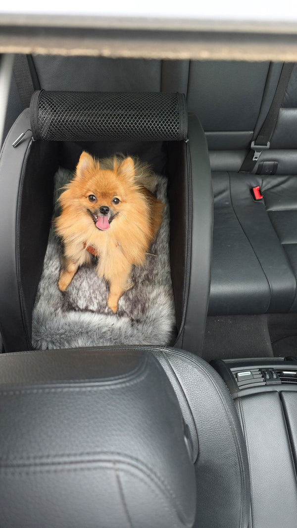 Spitz in der DOXAFER® Box im Auto